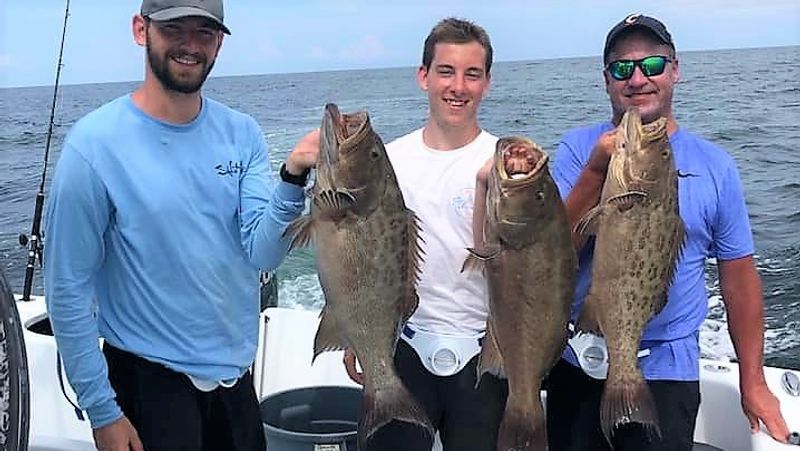 Destin Florida Fishing Charters | 6 To 8 Hour Charter Trip 